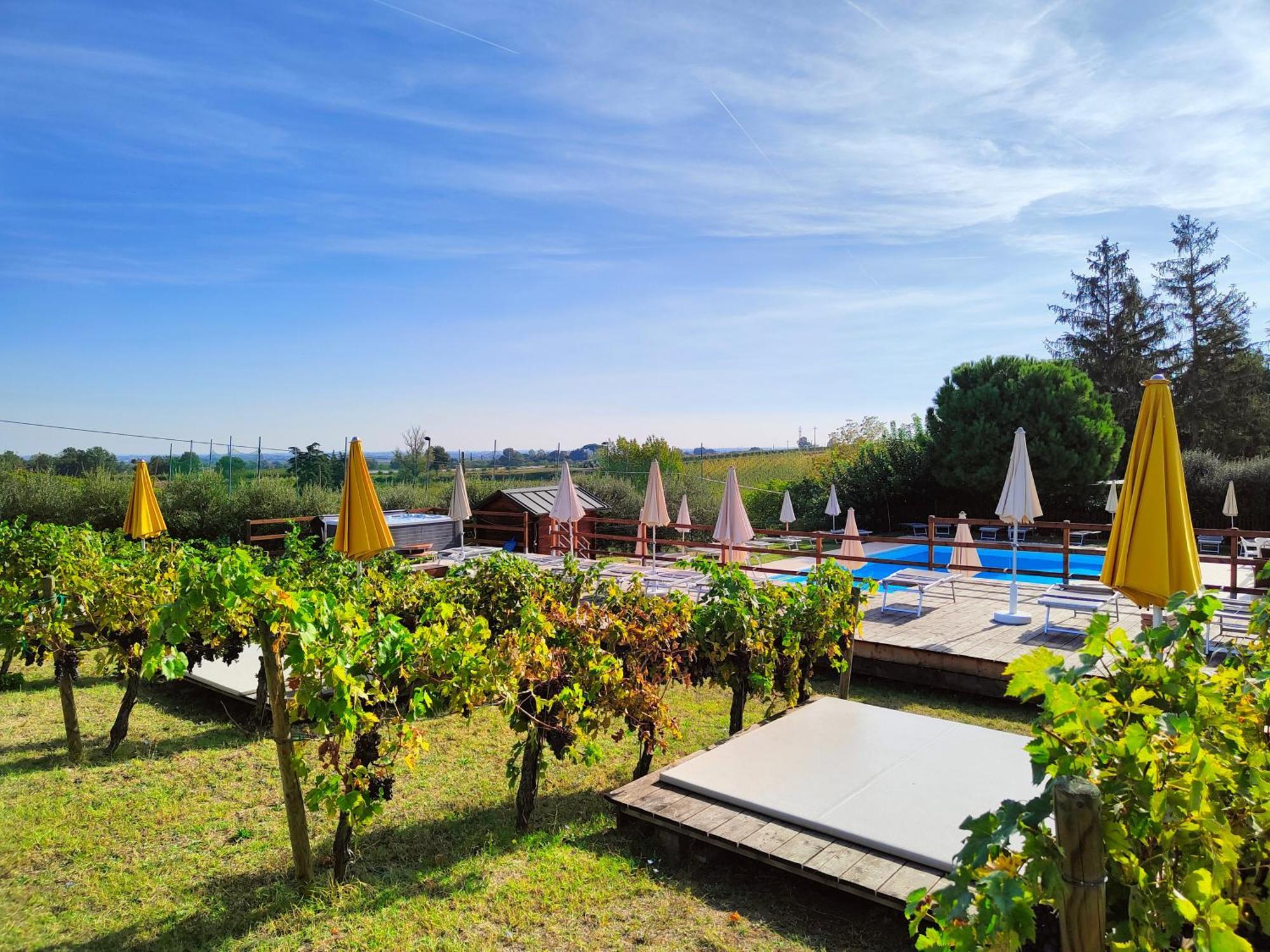 Agriturismo E Cantina La Sabbiona ファエンツァ エクステリア 写真