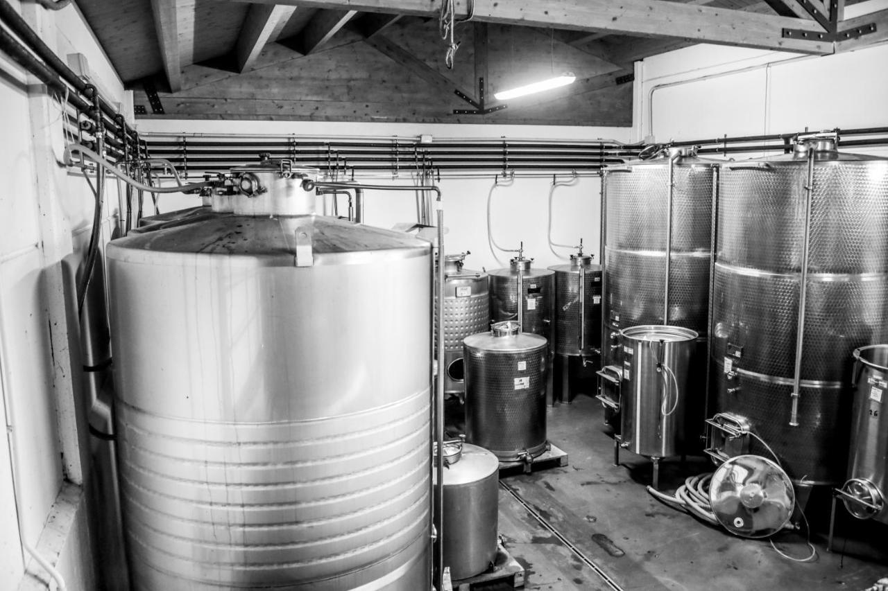 Agriturismo E Cantina La Sabbiona ファエンツァ エクステリア 写真